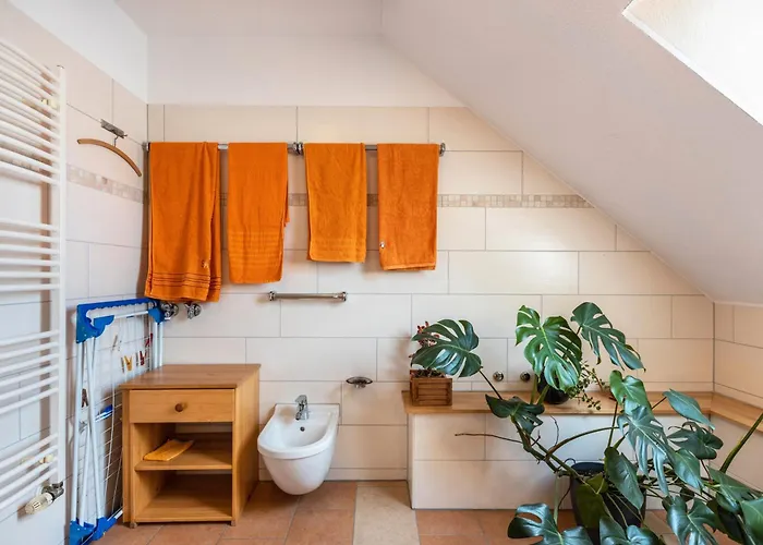 Апартаменты Malsam *